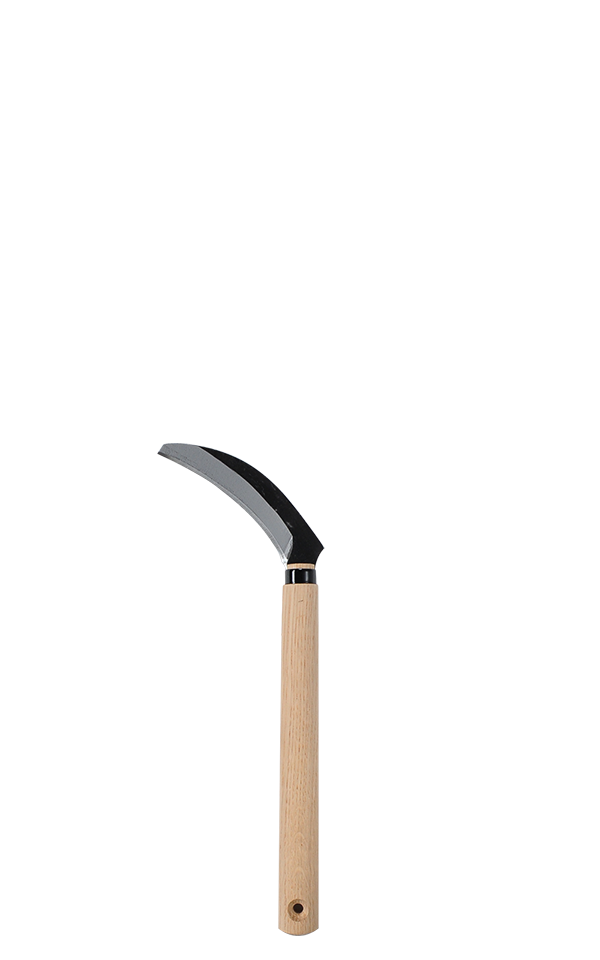 takemotosickle