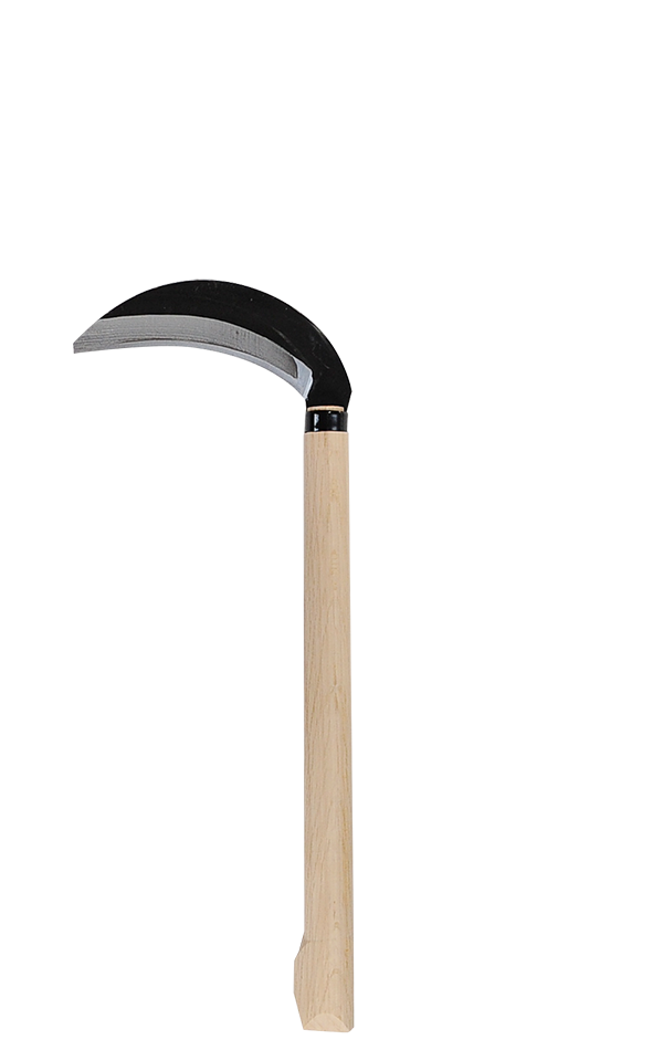takemotosickle
