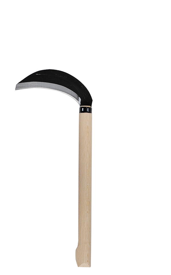 takemotosickle