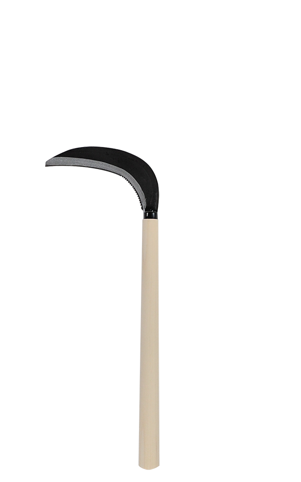 takemotosickle