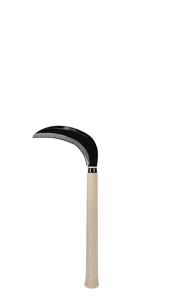 takemotosickle