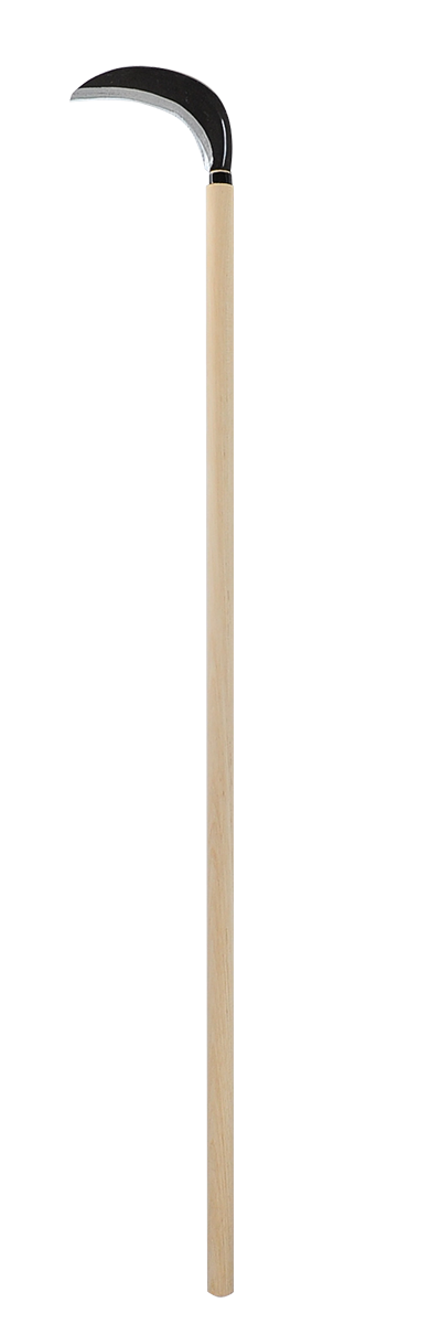 takemotosickle