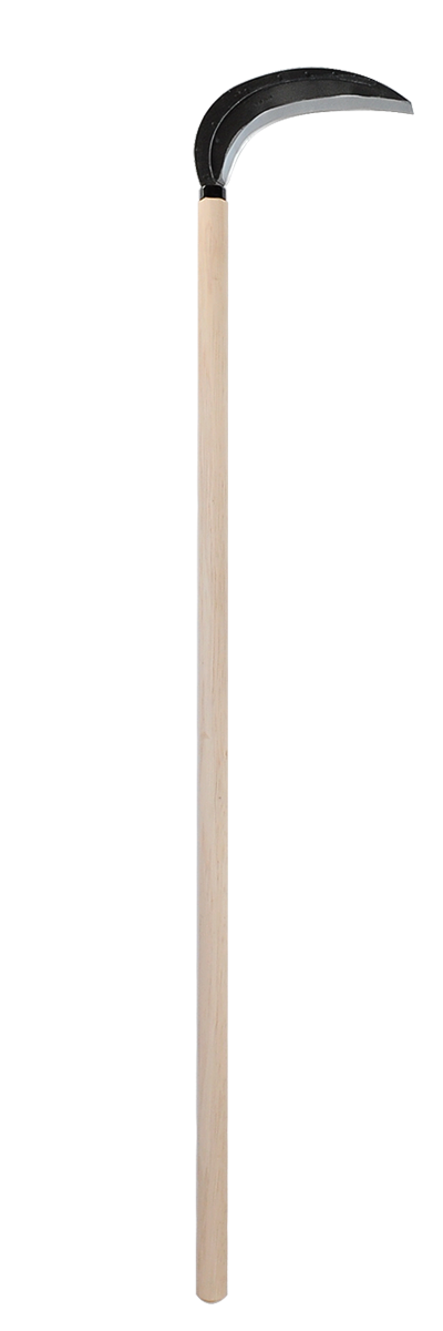 takemotosickle