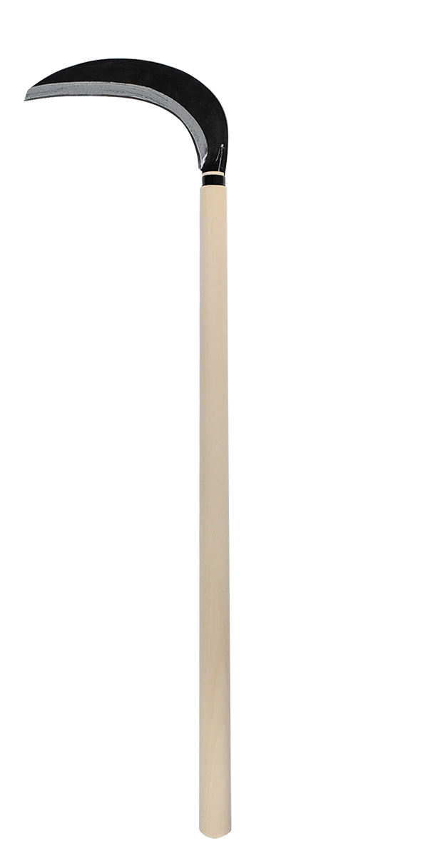 takemotosickle
