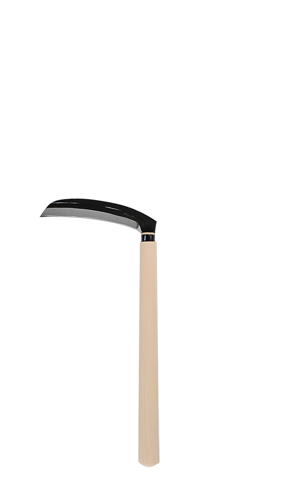 takemotosickle