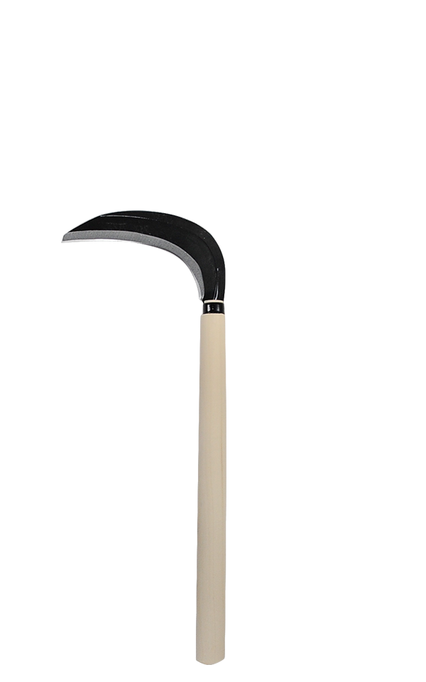 takemotosickle
