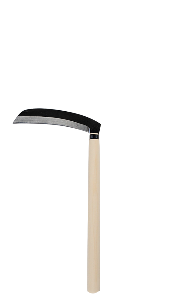 takemotosickle