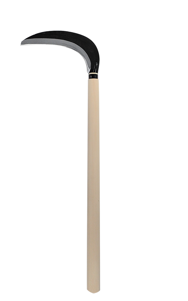 takemotosickle