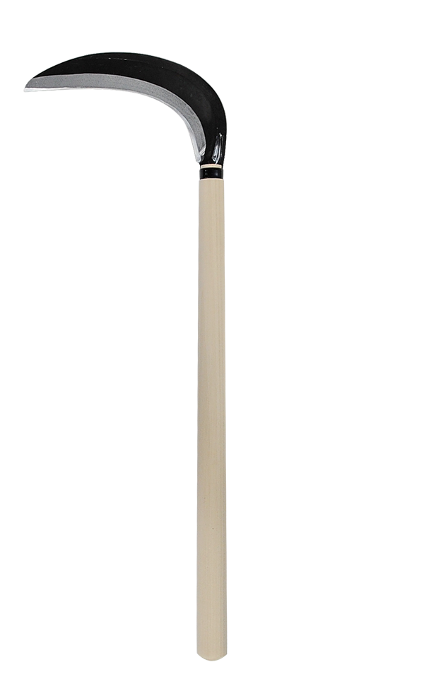 takemotosickle
