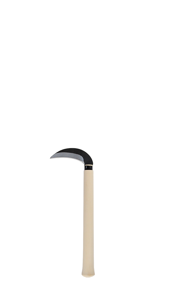 takemotosickle