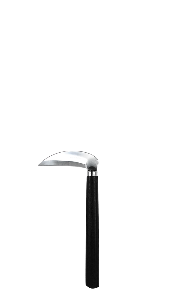takemotosickle