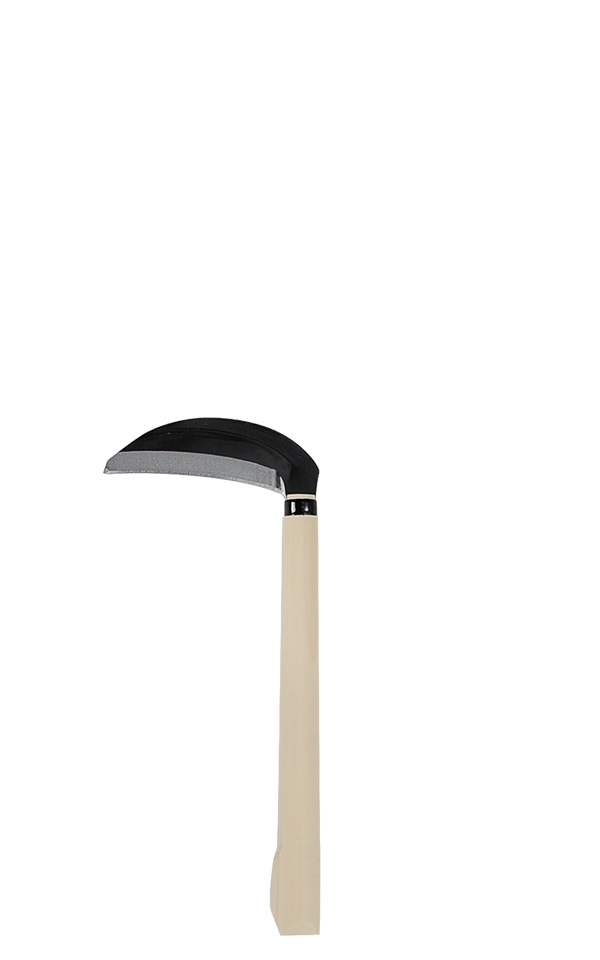takemotosickle