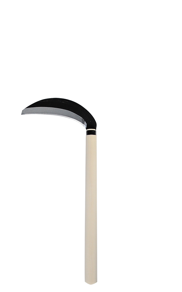 takemotosickle