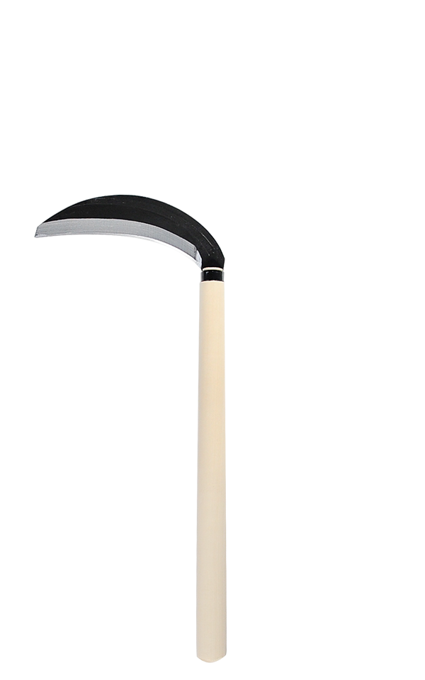 takemotosickle