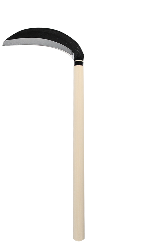 takemotosickle