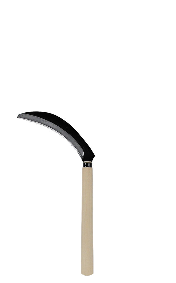 takemotosickle