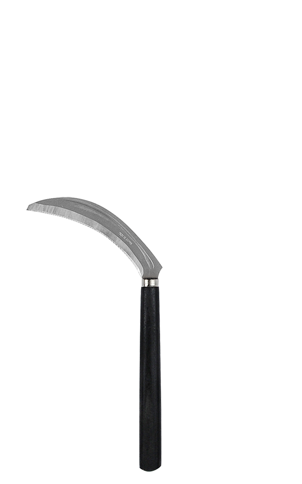 takemotosickle