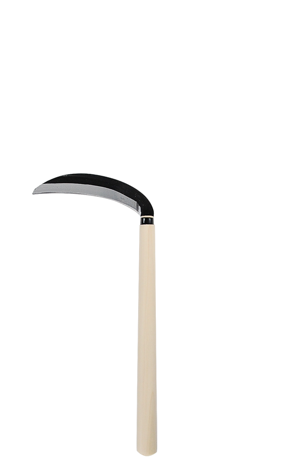 takemotosickle
