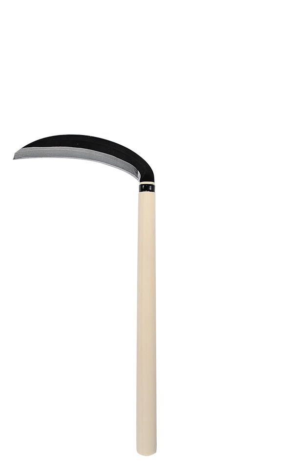 takemotosickle