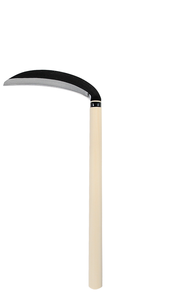 takemotosickle
