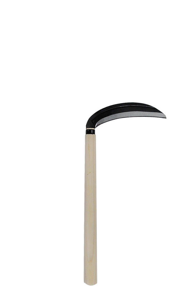 takemotosickle