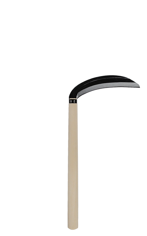 takemotosickle