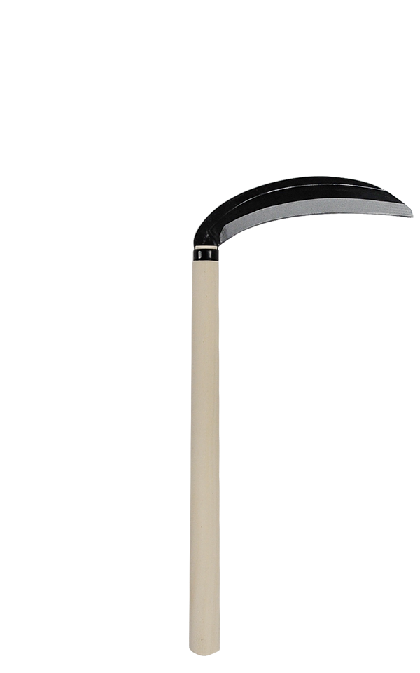 takemotosickle