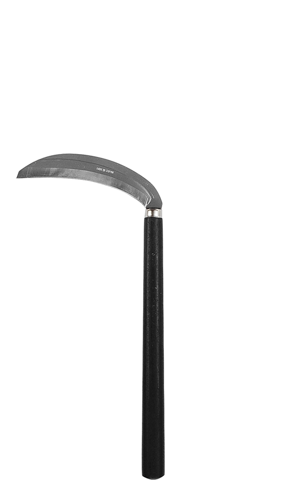 takemotosickle