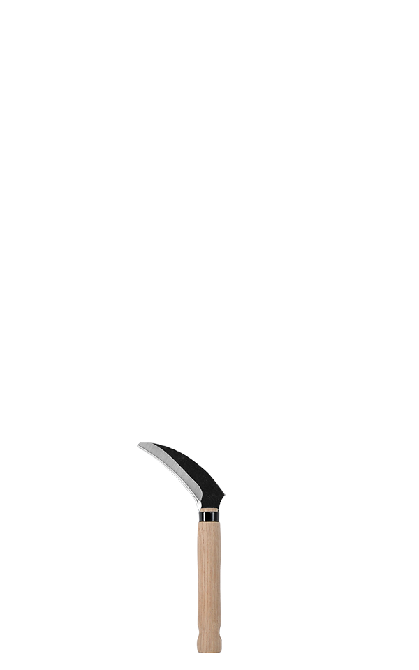 takemotosickle